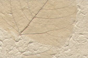 Garden Floral Leaf Paper