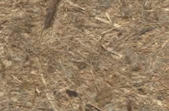 Birds Nest Paper