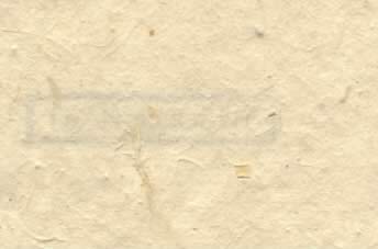 Banana Bark Paper
