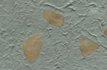 Raintree Leaves w Corn Hair Paper